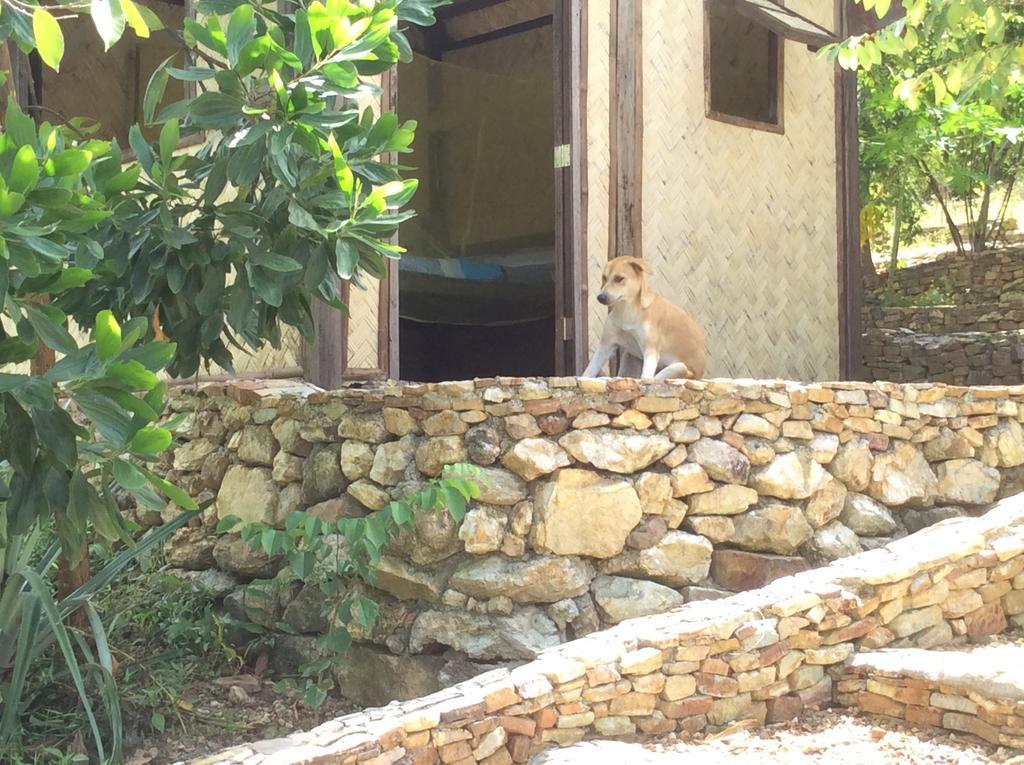 Busuanga Backpackers Hostel Concepcion  Екстериор снимка