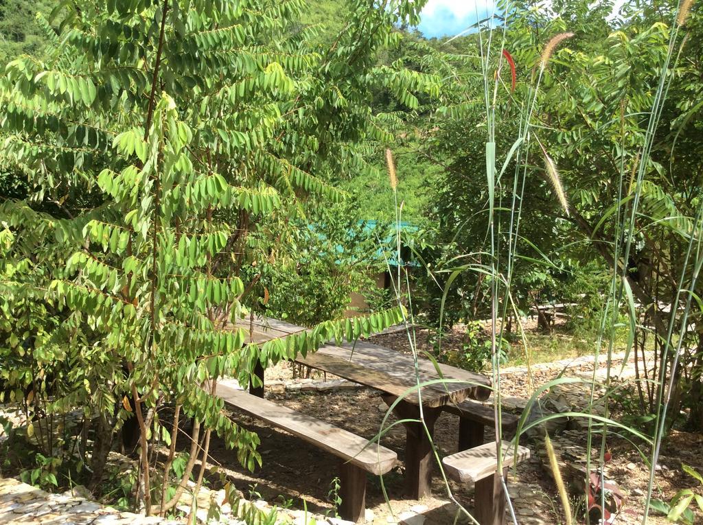 Busuanga Backpackers Hostel Concepcion  Екстериор снимка
