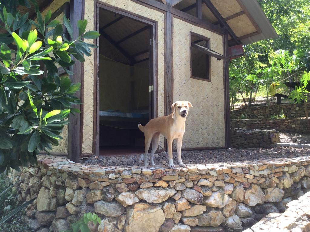 Busuanga Backpackers Hostel Concepcion  Стая снимка