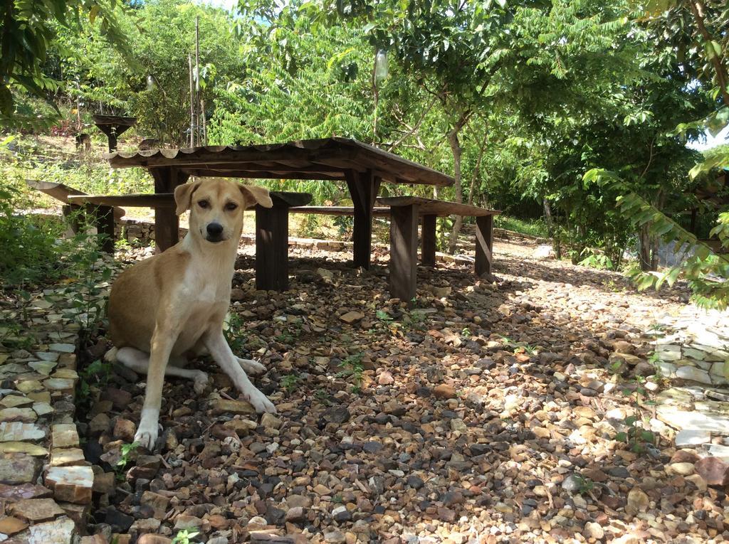 Busuanga Backpackers Hostel Concepcion  Екстериор снимка