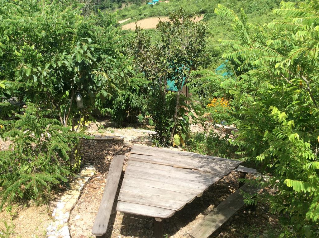 Busuanga Backpackers Hostel Concepcion  Екстериор снимка