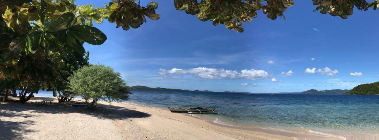 Busuanga Backpackers Hostel Concepcion  Екстериор снимка