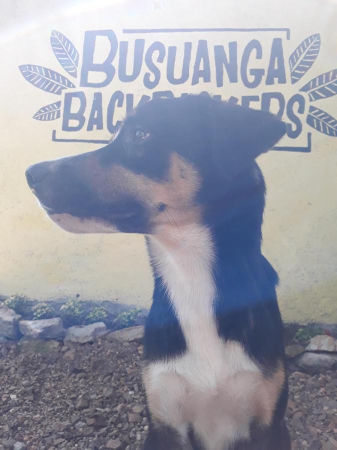 Busuanga Backpackers Hostel Concepcion  Екстериор снимка